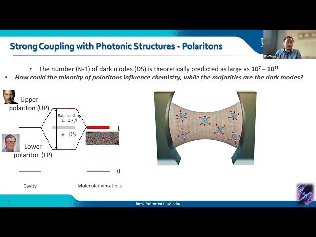 The Role of Energy Disorder in Polariton Dynamics