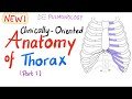 Clinically-Oriented Anatomy of the Thorax - Part 1