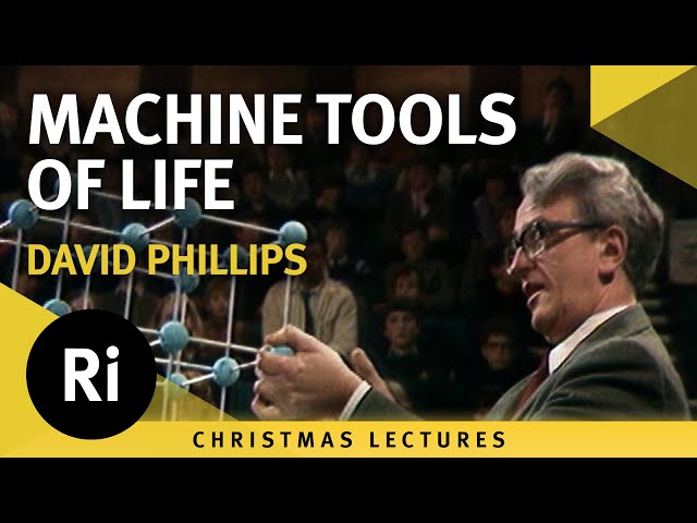 The Power of Enzymes - Machine Tools of Life - Lecture 2