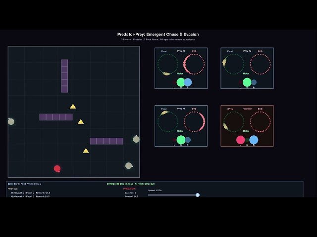 Continuous Attractor Networks That Learn to Hunt and Flee Like Real Animals