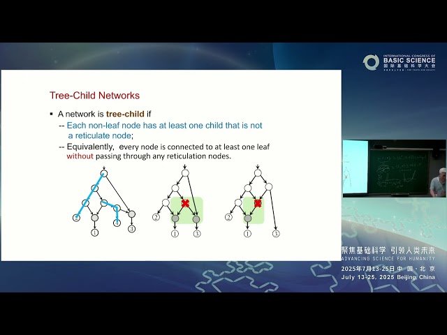 Fast Algorithms for Fusing Phylogenetic Trees into Networks via Dimensionality Reduction
