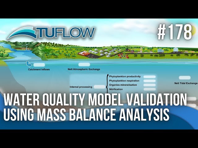 Water Quality Model Validation Using Mass Balance Analysis