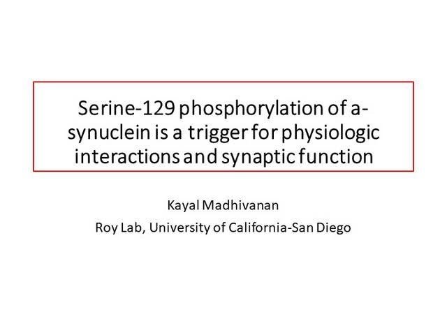 A Physiologic Role of α-Synuclein in Synaptic Vesicle Recycling
