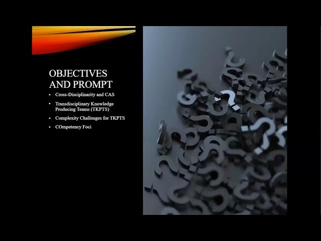 Complexity Skills Development for Transdisciplinary Knowledge Producing Teams