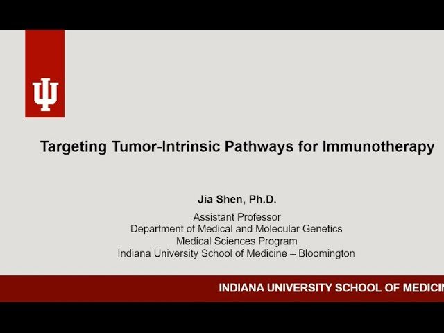 Targeting Tumor-Intrinsic Pathways to Enhance Immunotherapy
