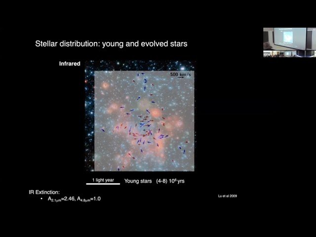 Flaring Activity of the Black Hole at the Center of the Galaxy
