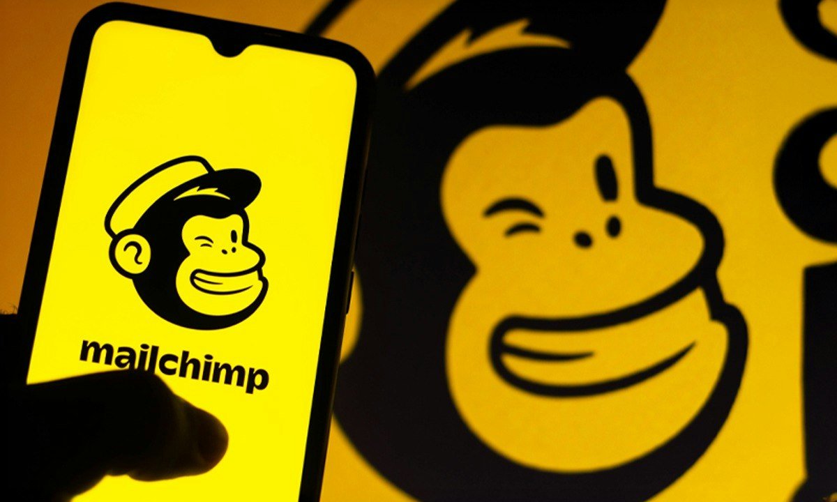 Mailchimp Basics Training for Beginners