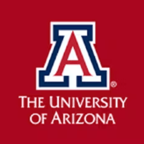 Strategic Digital Marketing