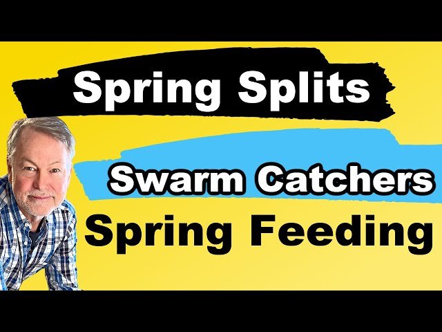 Spring Beekeeping Tips - Managing Splits, Swarm Catchers and Feeding