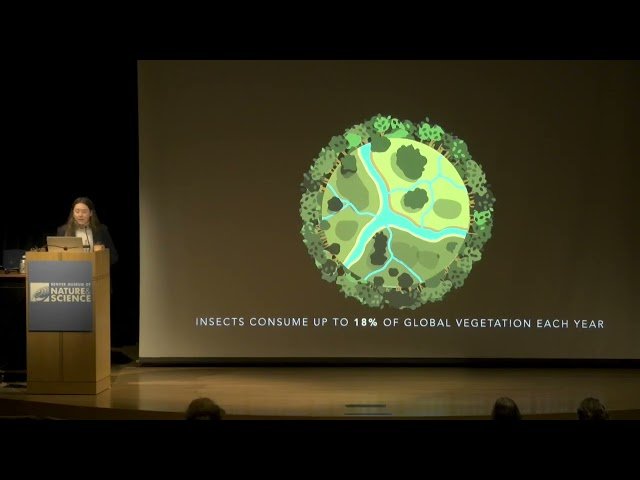 The Unseen Paleobotanical War - Chemical Warfare Between Plants and Insects