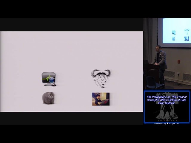 File Polyglottery or This Proof of Concept is Also a Picture of Cats