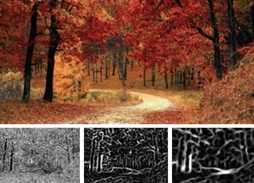 Neural Network Applications: Image Processing: Wolfram U