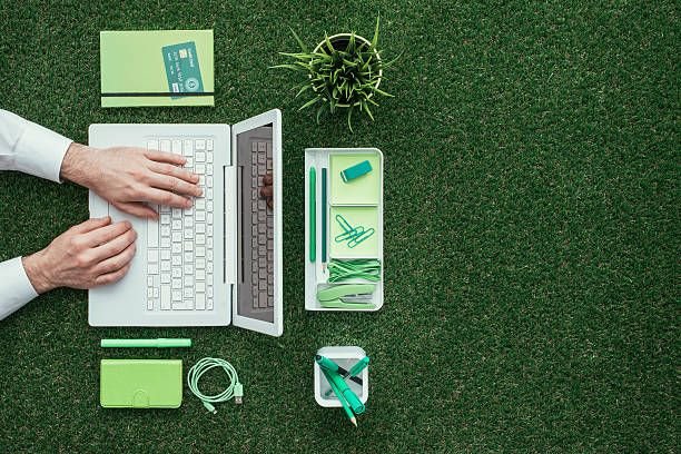 Virtual Earth Day Reset: Forest Bathing at Your Desk (Team Building)