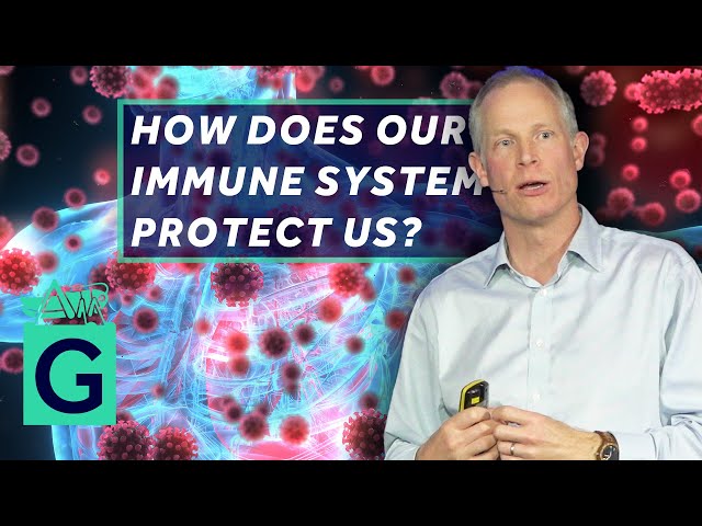 How Does Our Immune System Protect Us? - Understanding the Complexity of Human Immunity
