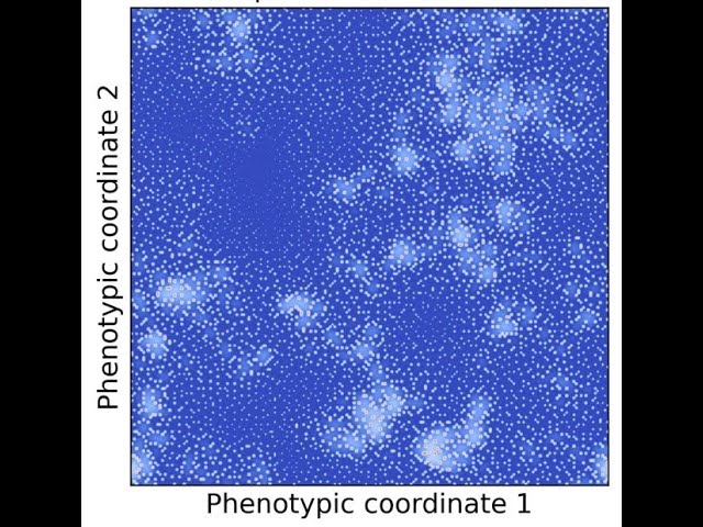 Trait-Space Patterning Is Dictated by the Tempo and Mode of Mutation
