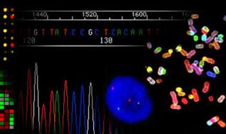 Genomic Medicine Gets Personal
