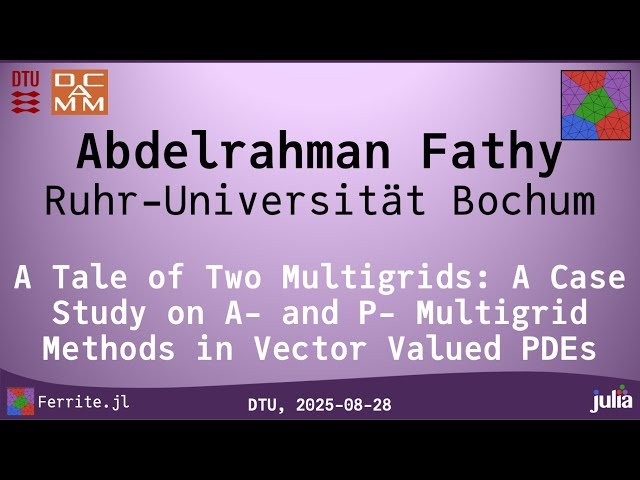A Tale of Two Multigrids - A Case Study on Algebraic and Polynomial Multigrid Methods