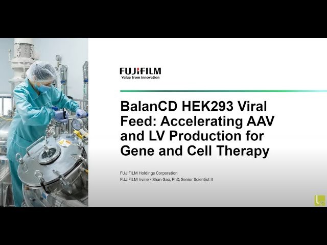 BalanCD HEK293 Viral Feed: Accelerating AAV and LV Production for Gene and Cell Therapy