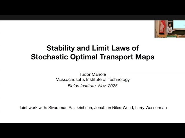 Stability and Limit Laws of Stochastic Optimal Transport Maps