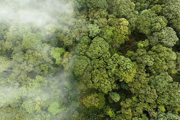 Exploring Carbon Capture and Utilisation