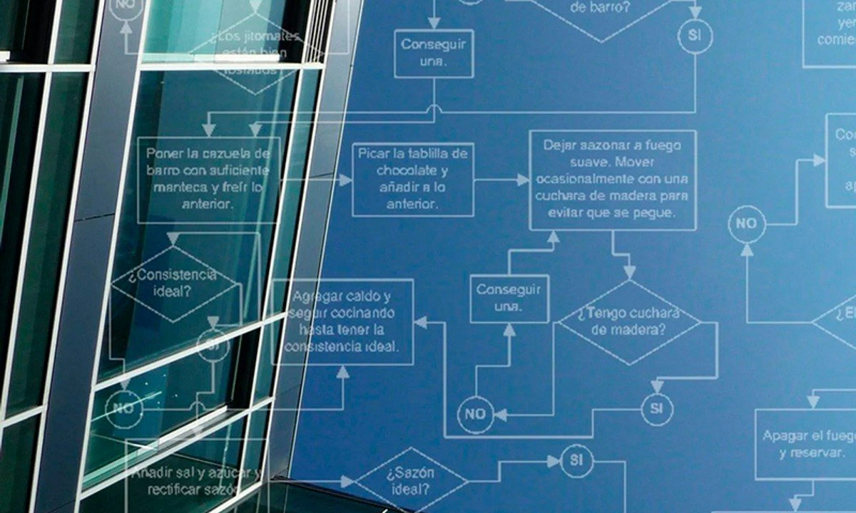 IT Fundamentals for Business Profiles: Software development