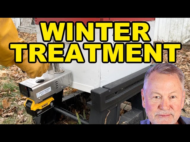 Beekeeping - How to Treat Bees in Winter Without Opening the Hive