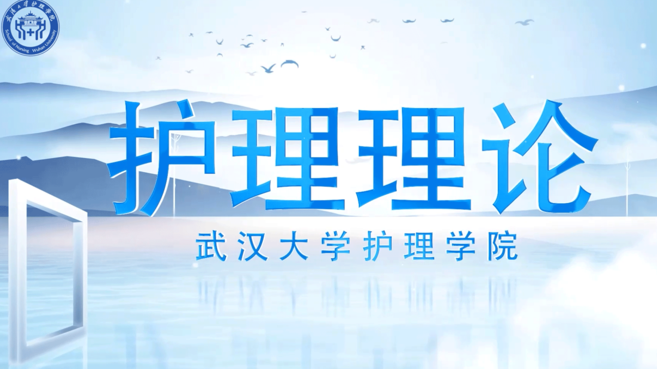 护理理论