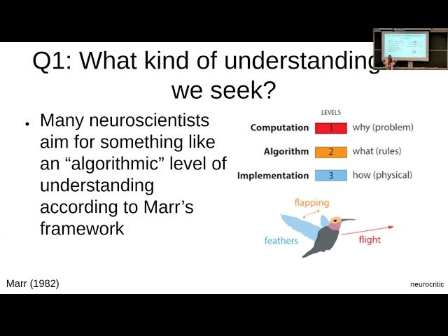 Using Artificial Neural Networks to Test the Tools of Neuroscience