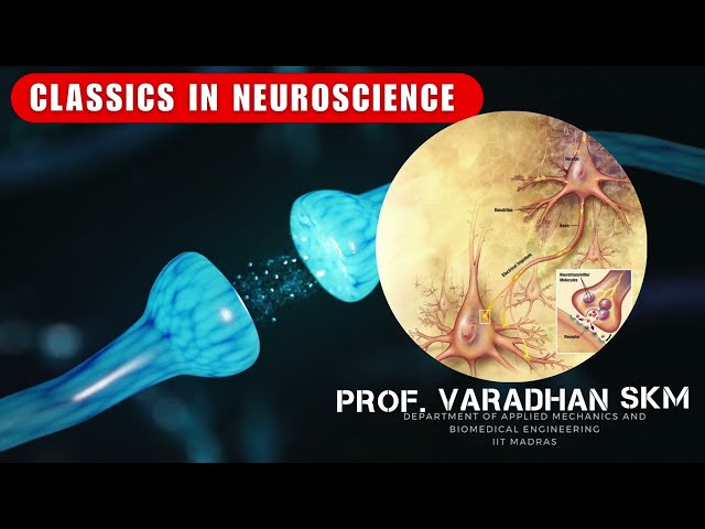 Arousal and Reticular Activating System
