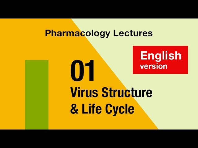 Antiviral Pharmacology - Virus Structure and Life Cycle - Lecture 1