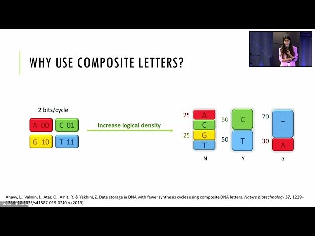 Optimizing Composite DNA Letters for High Density Information Encoding