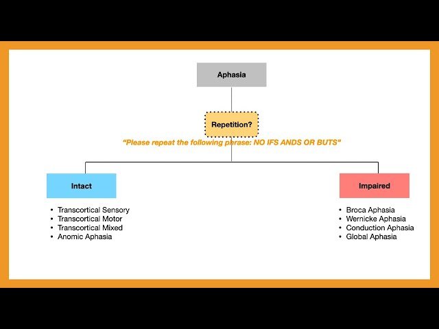 Aphasia - Broca vs. Wernicke vs. Conduction vs. Global vs. Transcortical