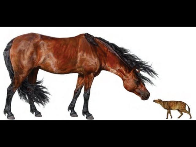 Chewing on Change Curriculum - Lesson 4 Teacher Tutorial for Jupyter Notebook Using Mybinder.org