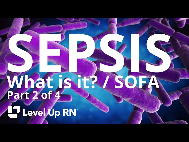 Sepsis: What is it? Understanding SOFA Scoring and Criteria - Continuing Education for Nurses