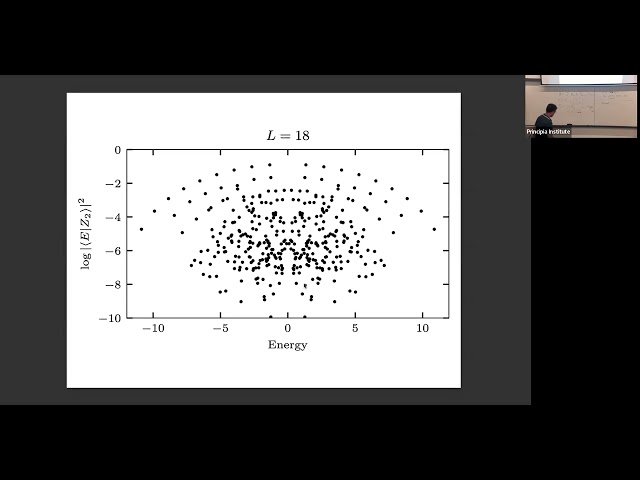Absence of Localization in Interacting Spin Chains with a Discrete Symmetry