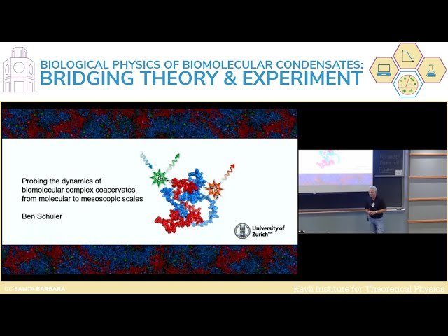 Probing the Dynamics of Biomolecular Complex Coacervates from Molecular to Mesoscopic Scales