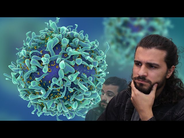 What the Heck is Artificial Immune System - AI Paper Review