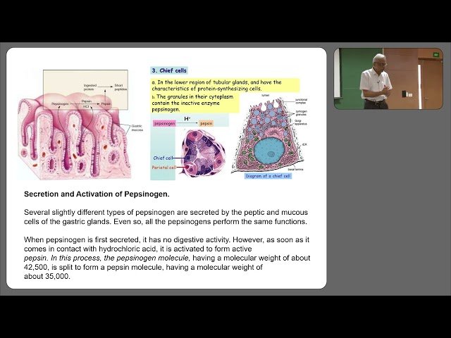Secretory Functions of Alimentary Tract and Pancreas - Part 2