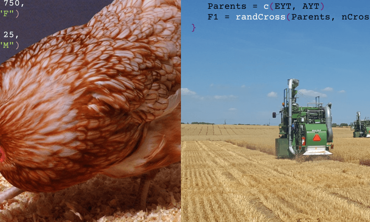 Breeding Programme Modelling with AlphaSimR