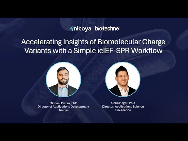 Accelerating Insights into Changes in Binding Affinity of Biomolecular Charge Variants Using icIEF Fractionation and SPR Workflow