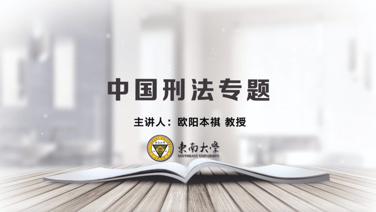 中国刑法专题