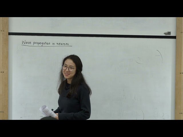 Mathematical Physiology - Spatial Dependence in the FitzHugh-Nagumo Equations - Lecture 6