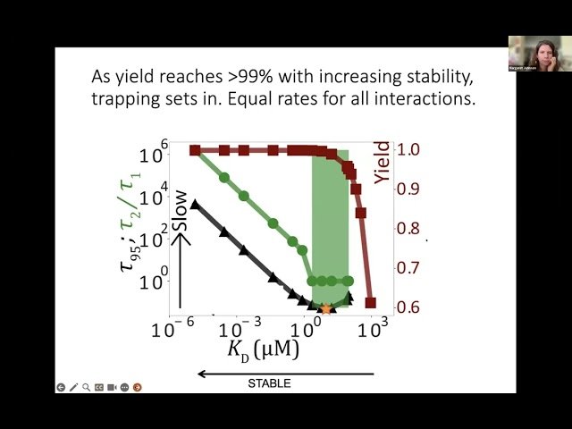 The Right Timing for Self-Assembly