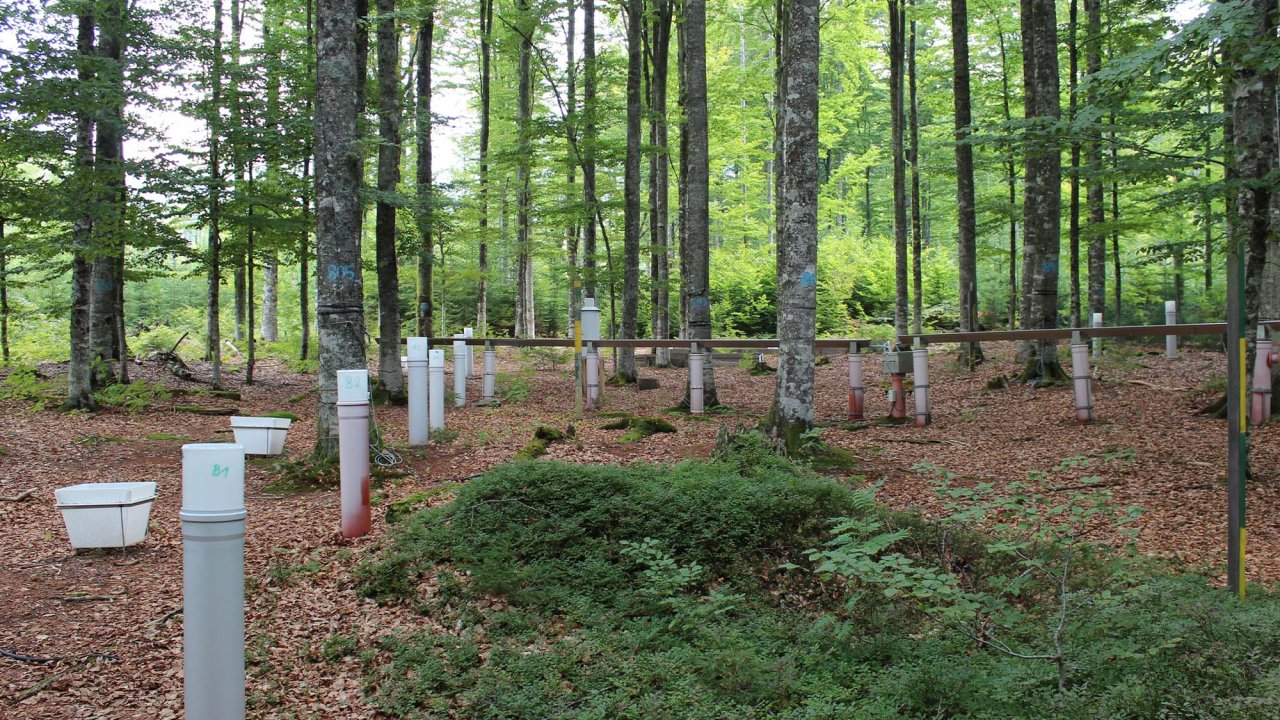 Monitoring Air Pollution Effects under the Convention