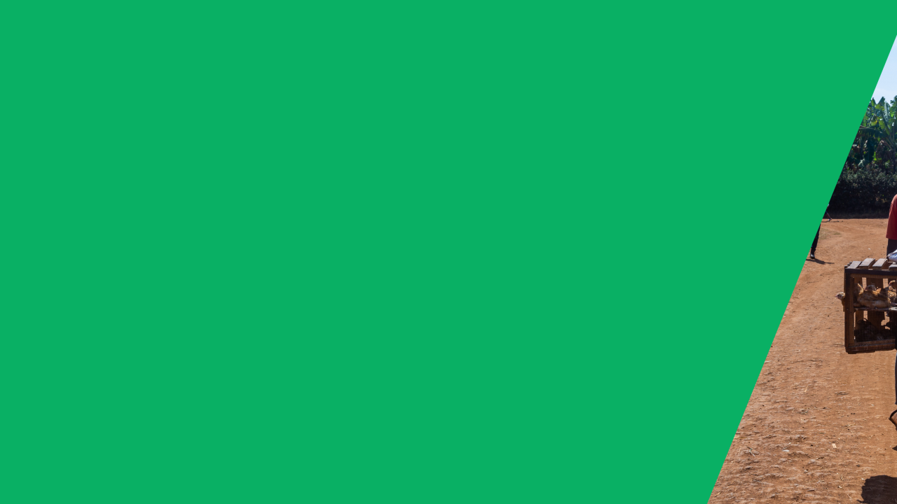 Acumen's Patient Capital