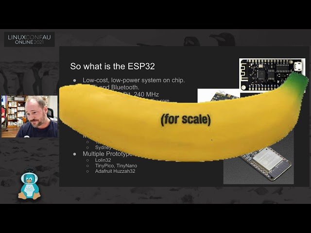 Swagbadge 101 - Hardware and SAOs