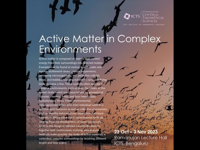 Active Matter in Complex Environments (2023)