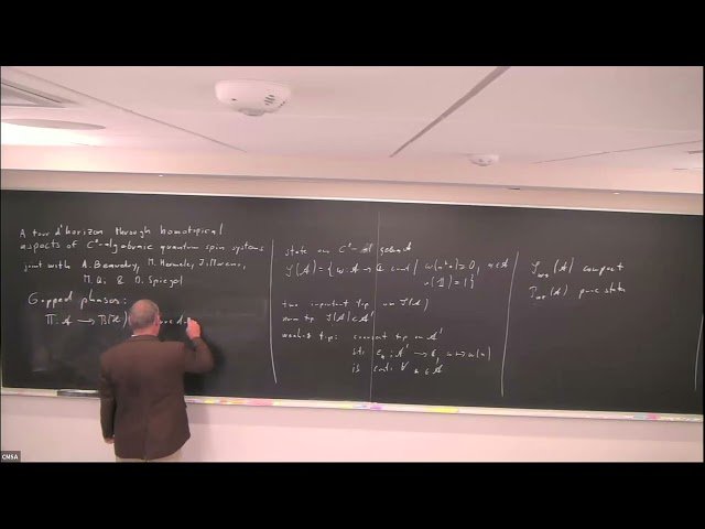 A Tour d'Horizon Through Homotopical Aspects of C*-Algebraic Quantum Spin Systems