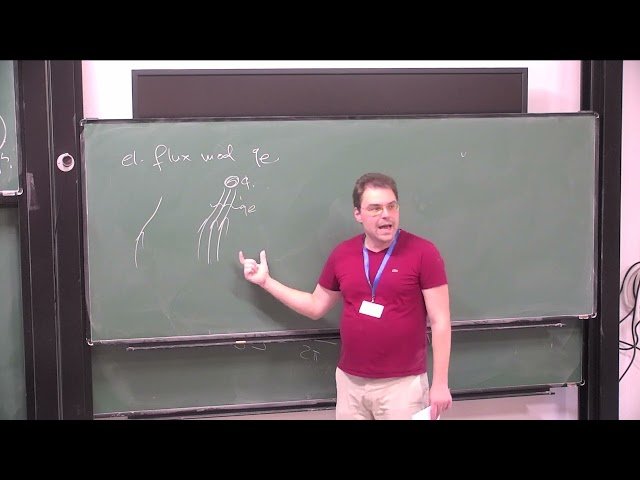 Physical Aspects of Gauge Theory - Part 4