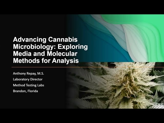 Cannabis Compliance - Culture vs. Molecular Microbiology